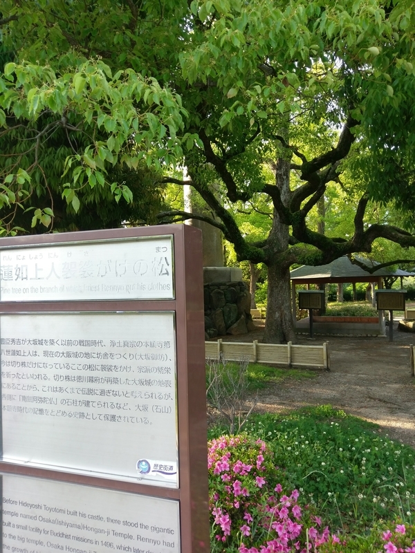 f:id:harapon:20180514172220j:plain