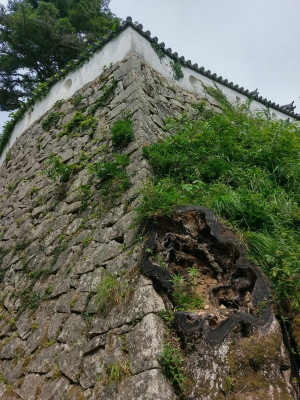 f:id:harapon:20180527102242j:plain