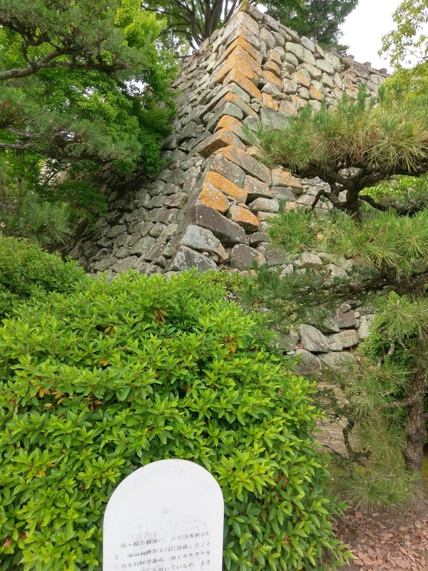 f:id:harapon:20180527154237j:plain