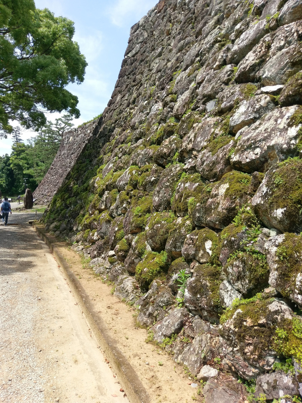 f:id:harapon:20180603102658j:plain