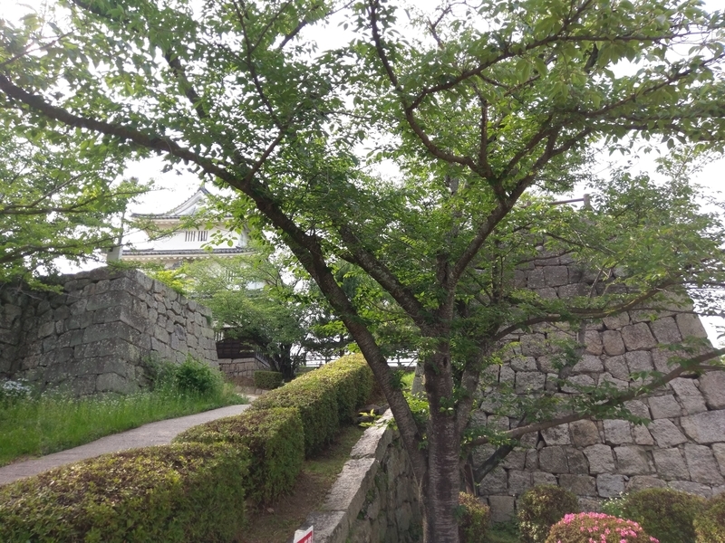 f:id:harapon:20180603154914j:plain