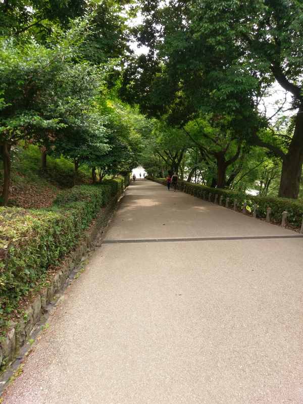 f:id:harapon:20180603160801j:plain