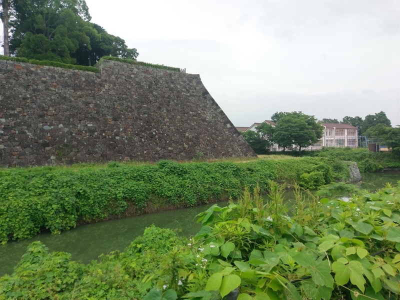 f:id:harapon:20180608110259j:plain