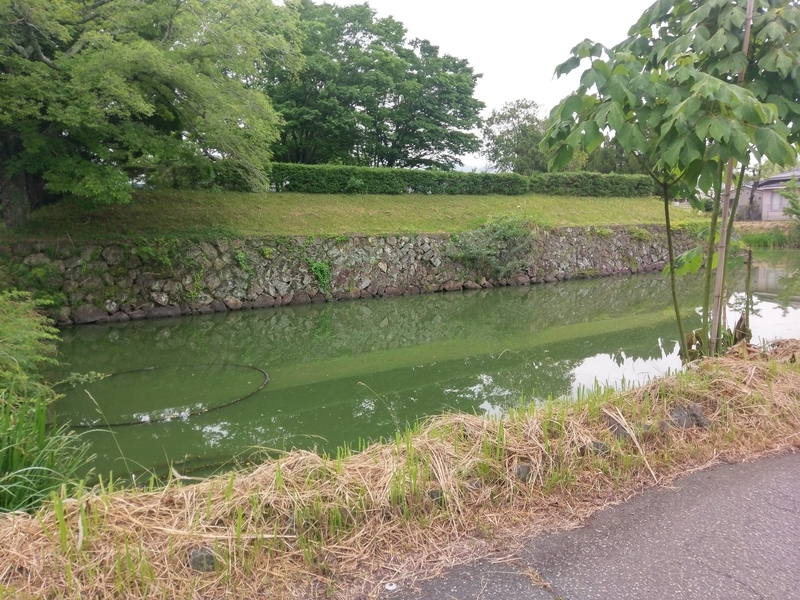 f:id:harapon:20180608111006j:plain