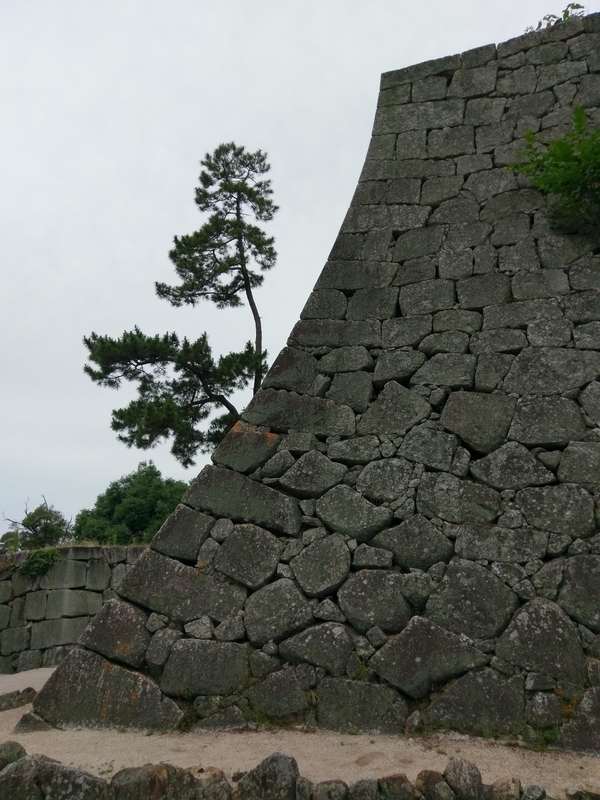f:id:harapon:20180614113035j:plain