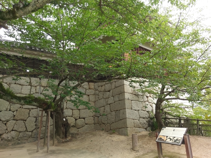 f:id:harapon:20180614114609j:plain