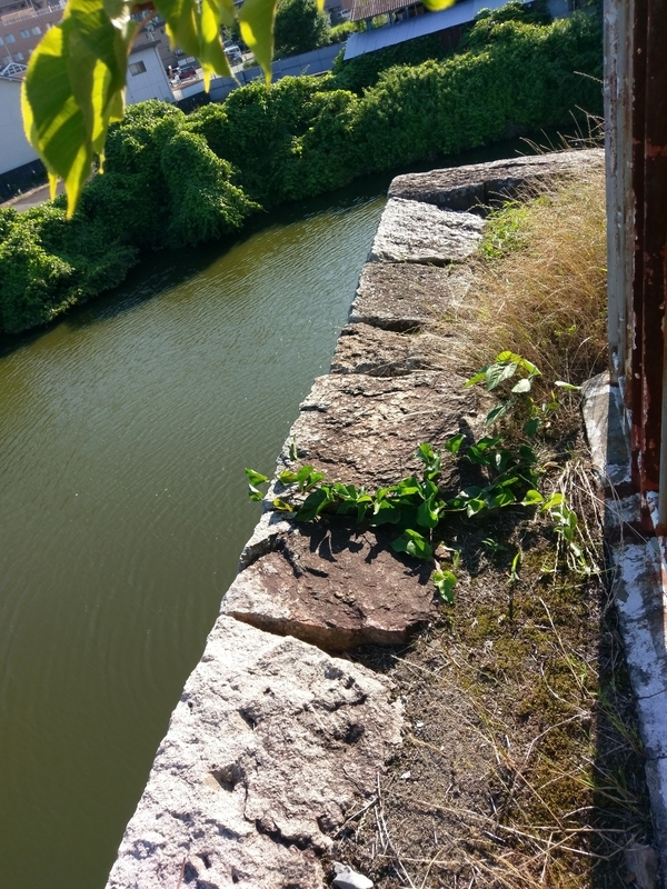f:id:harapon:20180616165806j:plain