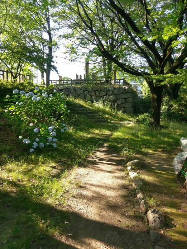 f:id:harapon:20180616171347j:plain