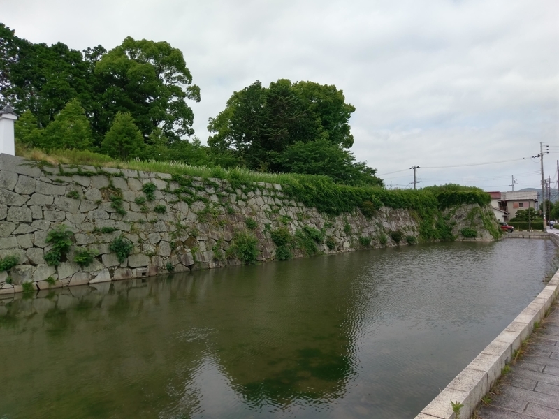 f:id:harapon:20180617093531j:plain