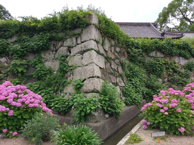 f:id:harapon:20180617093744j:plain