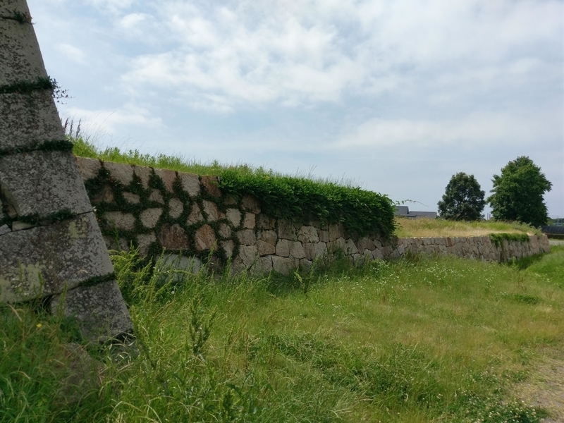 f:id:harapon:20180617094515j:plain
