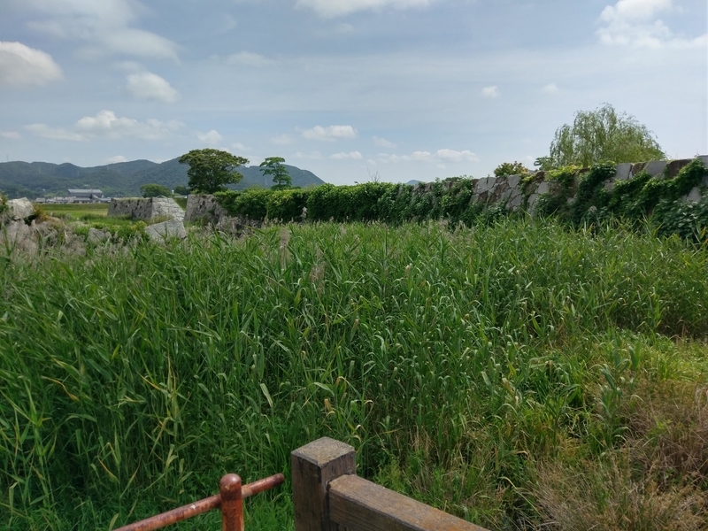 f:id:harapon:20180617095113j:plain