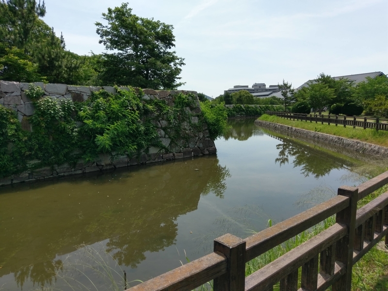 f:id:harapon:20180617095226j:plain