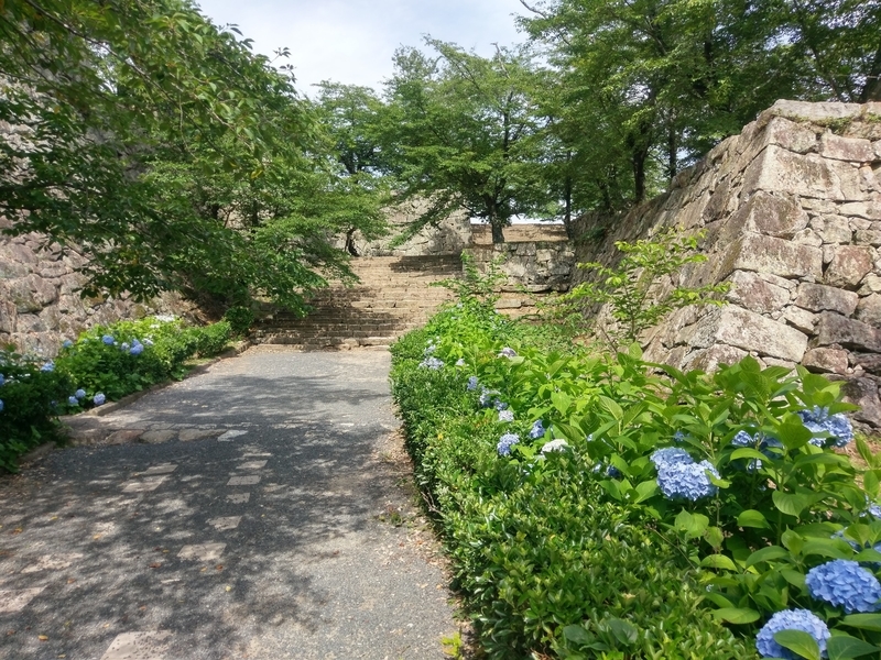 f:id:harapon:20180617145432j:plain