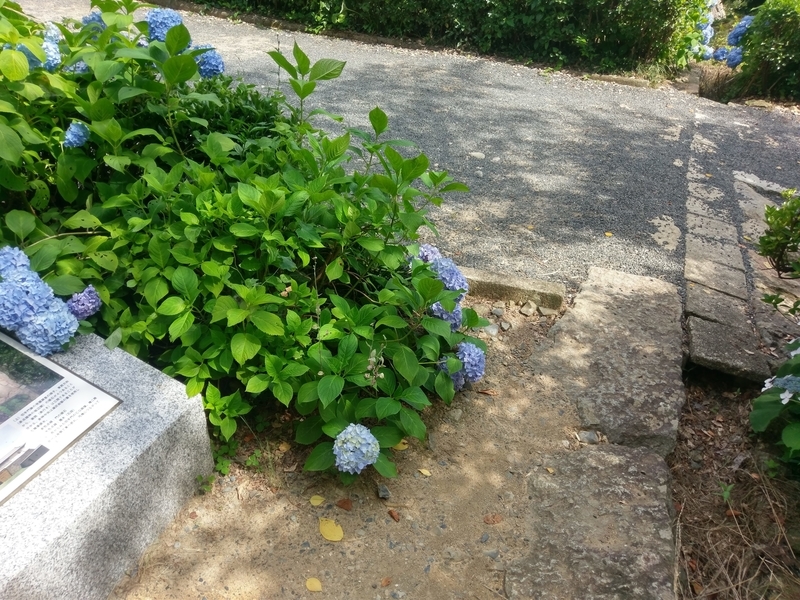 f:id:harapon:20180617145600j:plain