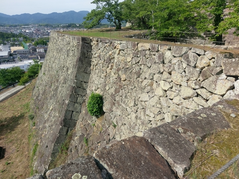 f:id:harapon:20180617154159j:plain