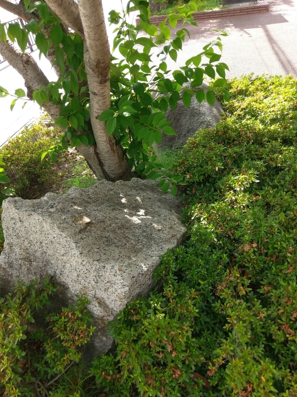 f:id:harapon:20180701145239j:plain