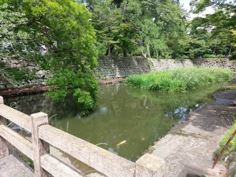 f:id:harapon:20180708135719j:plain