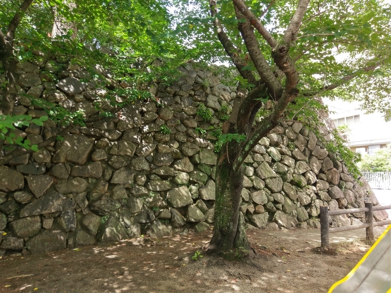 f:id:harapon:20180708140331j:plain