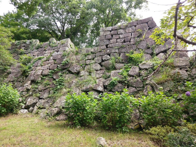 f:id:harapon:20180708142919j:plain