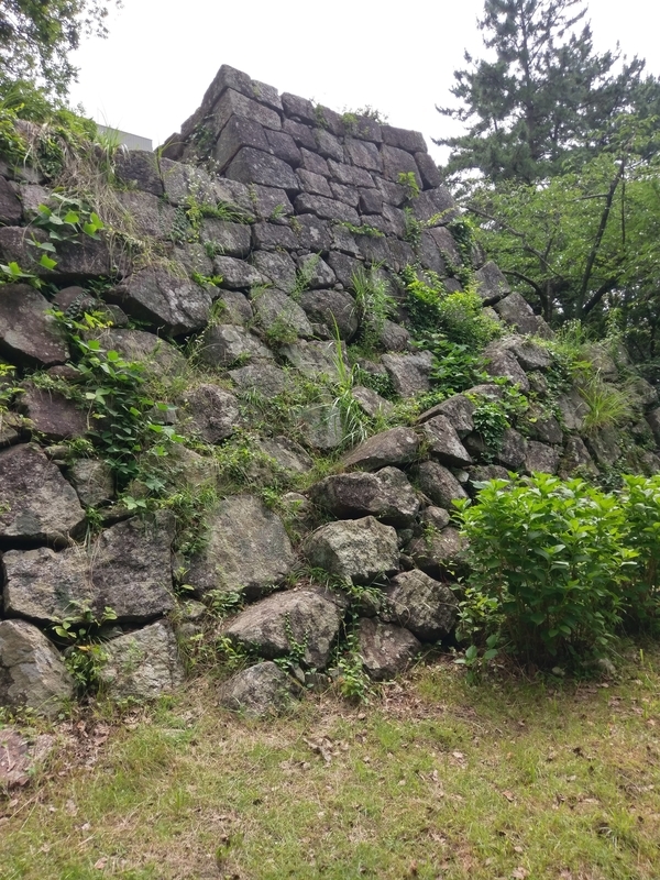 f:id:harapon:20180708142944j:plain