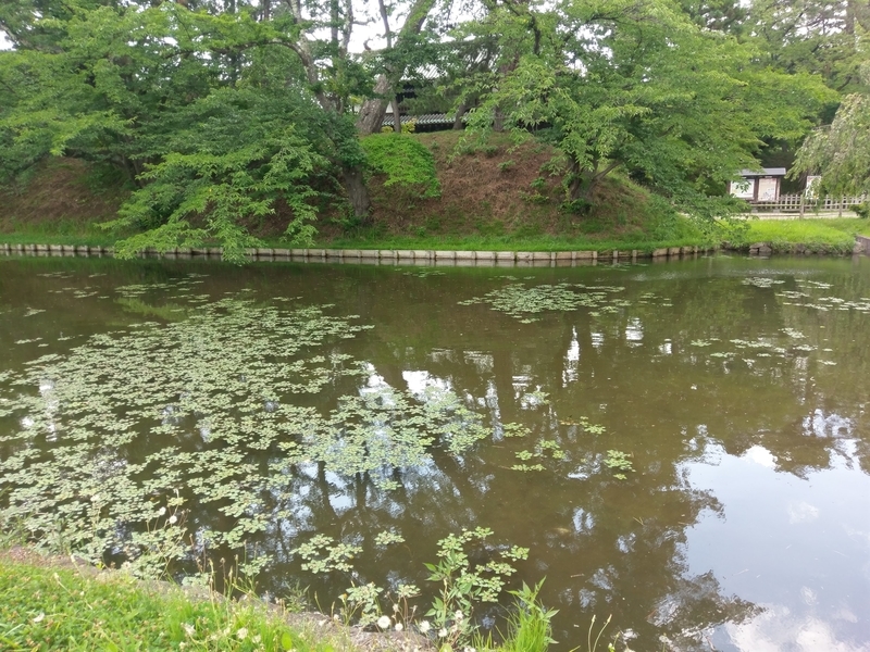 f:id:harapon:20180715135604j:plain