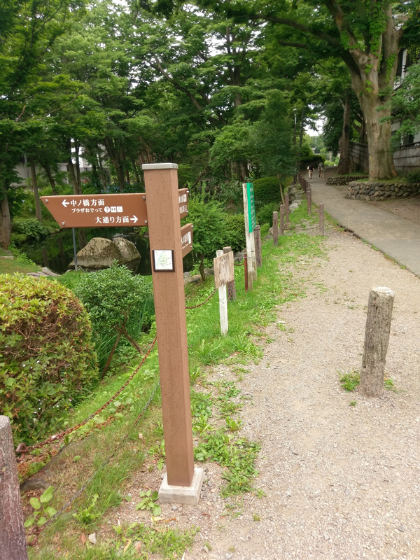 f:id:harapon:20180716121947j:plain