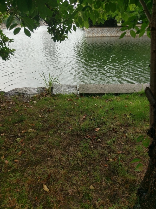 f:id:harapon:20180729131658j:plain