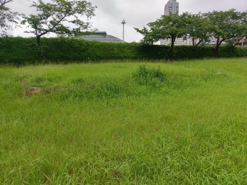 f:id:harapon:20180729134030j:plain