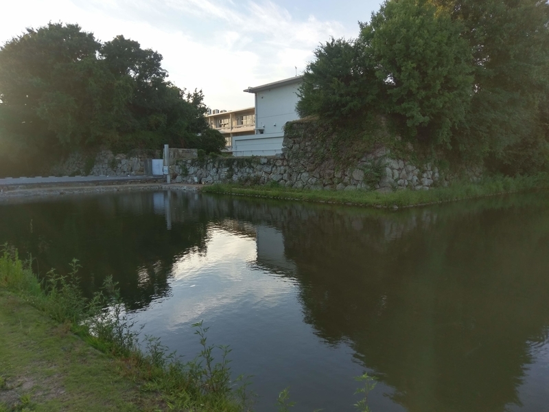f:id:harapon:20180826174304j:plain
