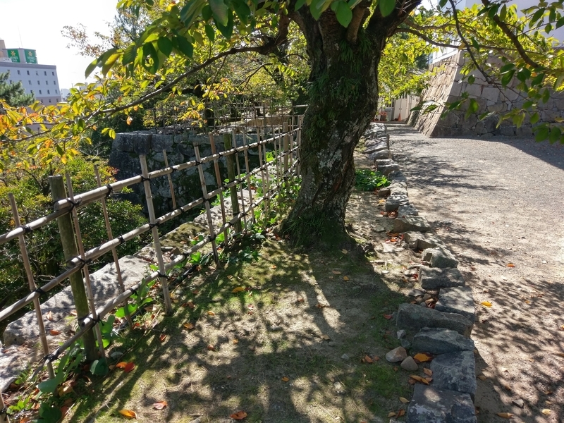 f:id:harapon:20181008103550j:plain
