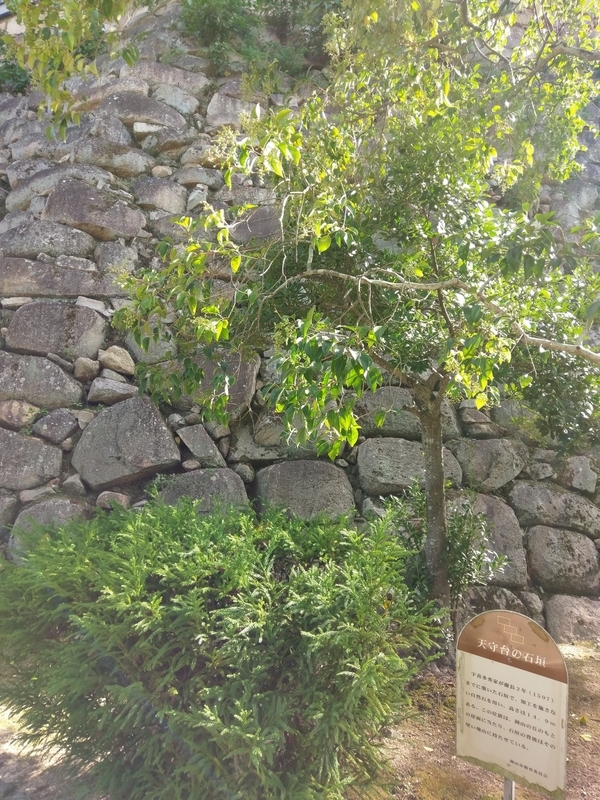 f:id:harapon:20181008141500j:plain