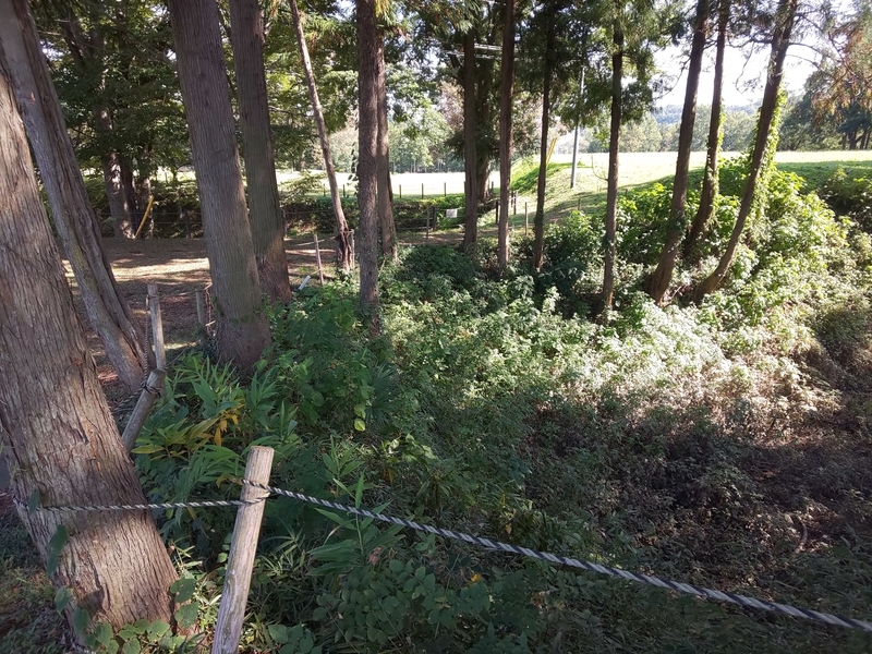 f:id:harapon:20181020114417j:plain