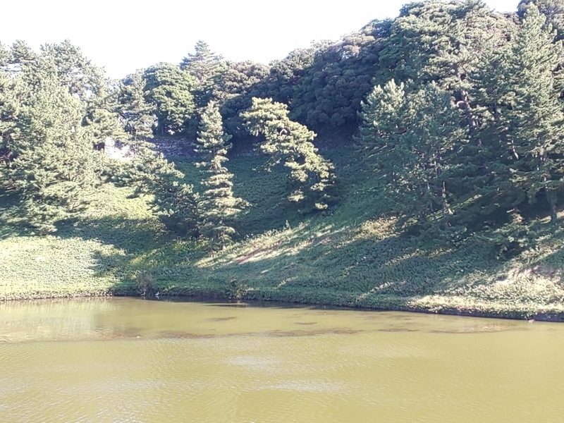 f:id:harapon:20181021091042j:plain