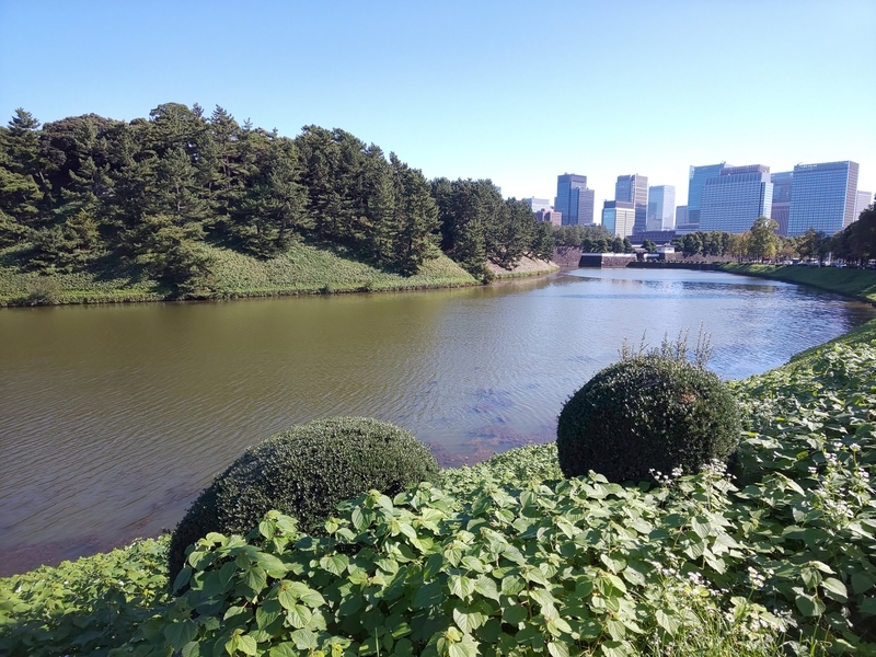 f:id:harapon:20181021091804j:plain