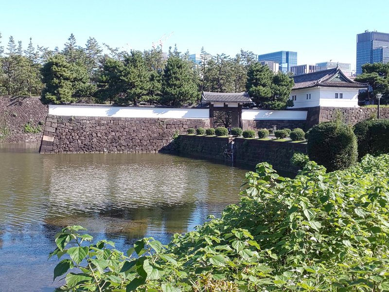 f:id:harapon:20181021092327j:plain