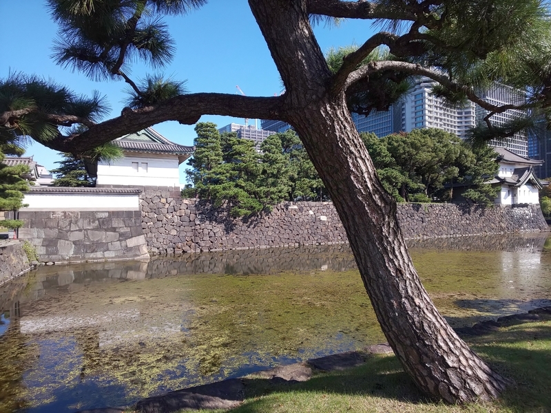 f:id:harapon:20181021101025j:plain