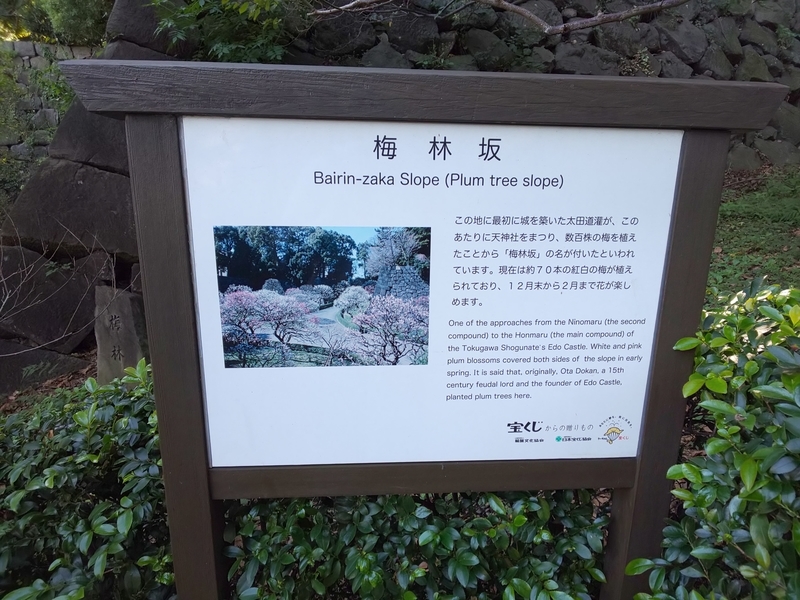 f:id:harapon:20181021122306j:plain
