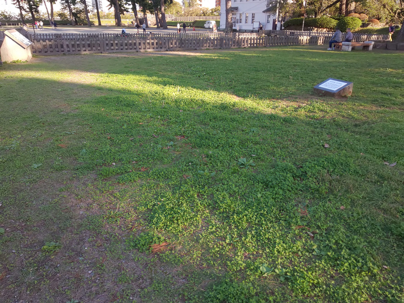 f:id:harapon:20181021153531j:plain