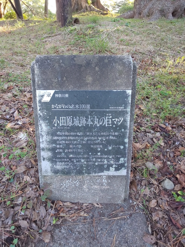 f:id:harapon:20181021155957j:plain