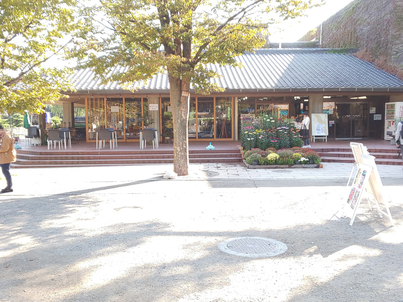 f:id:harapon:20181028090427j:plain