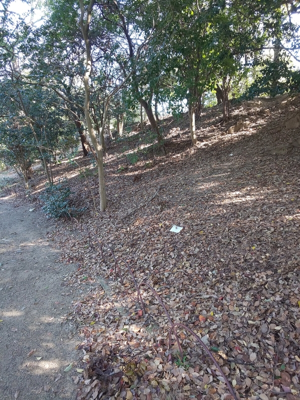 f:id:harapon:20181028091125j:plain