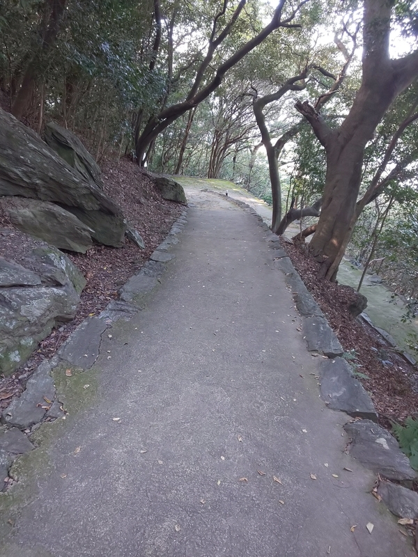 f:id:harapon:20181104132725j:plain