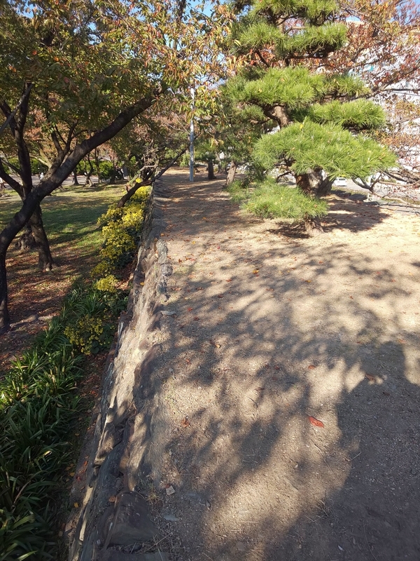f:id:harapon:20181104142509j:plain