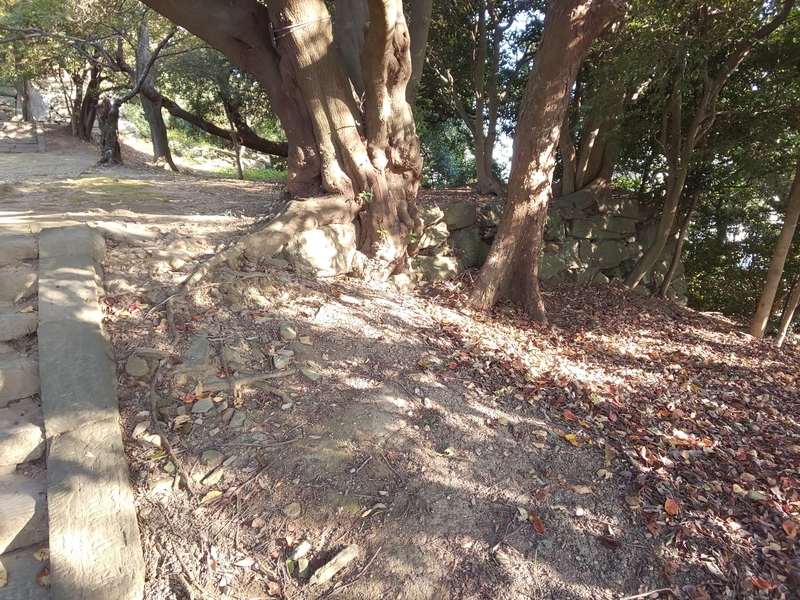 f:id:harapon:20181104151105j:plain
