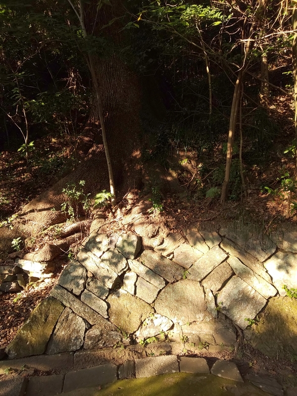 f:id:harapon:20181104154748j:plain