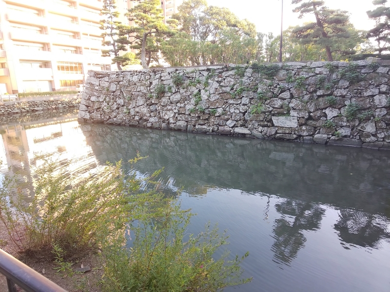 f:id:harapon:20181104155816j:plain