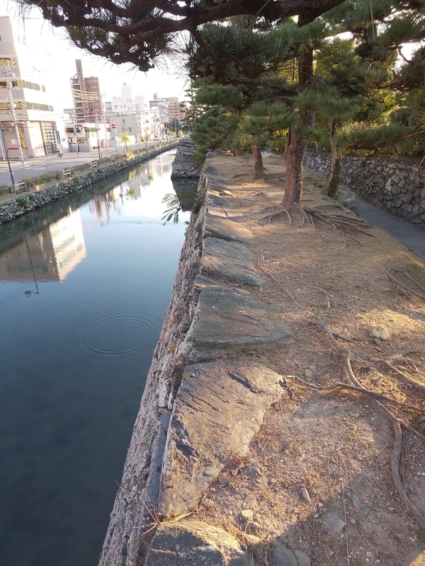 f:id:harapon:20181104160350j:plain