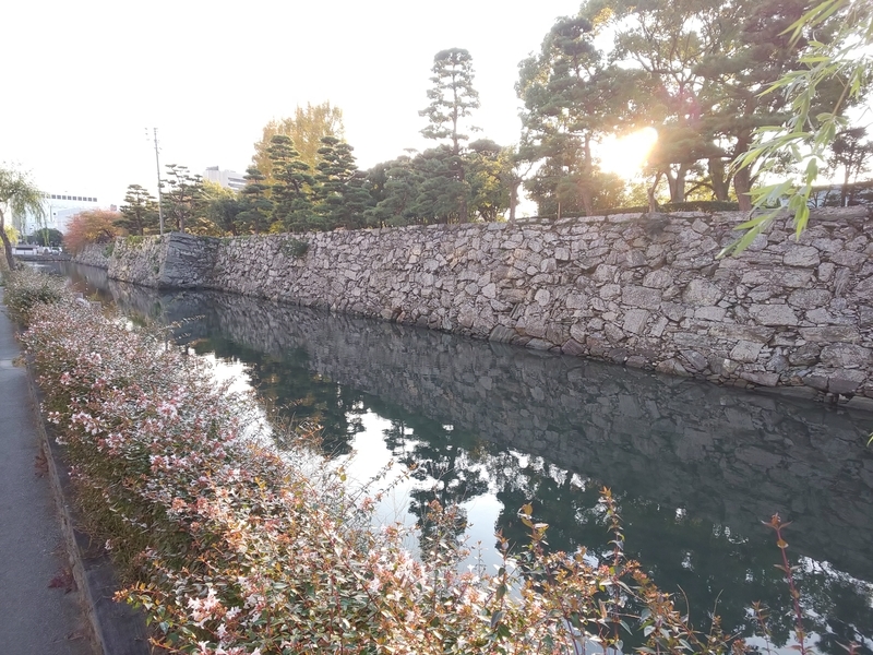 f:id:harapon:20181104160714j:plain