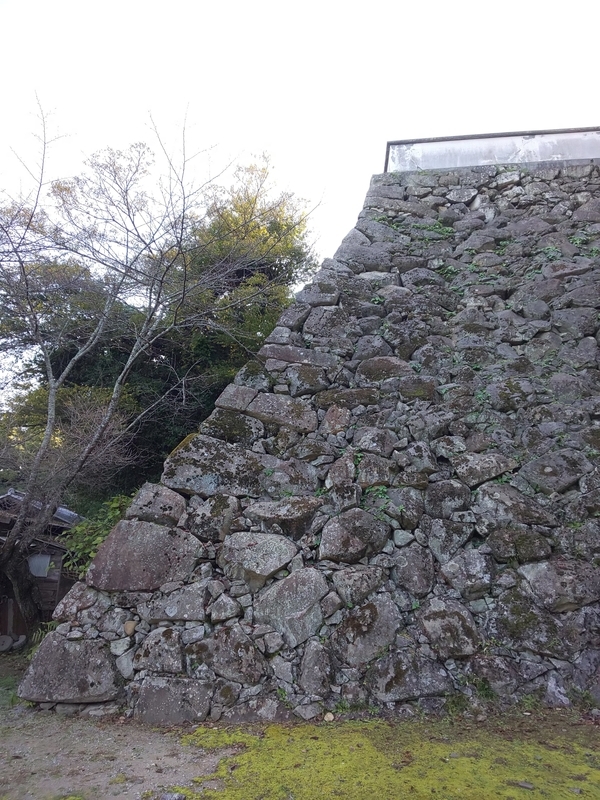 f:id:harapon:20181111080013j:plain